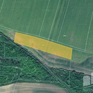 Prodej zemědělské půdy 5 755 m² Chožov Třtěno