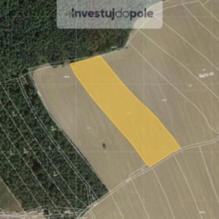 Prodej zemědělské půdy 9 171 m² Všekary