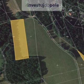 Prodej louky 7 046 m² Lučany nad Nisou