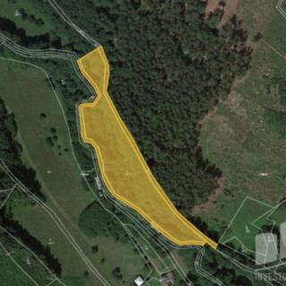 Prodej louky 4 230 m² Brzice Žďár