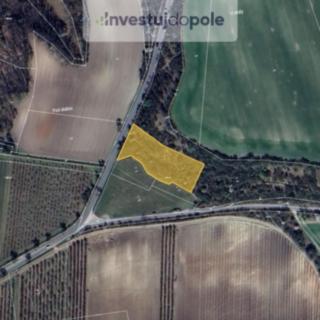 Prodej podílu ostatních pozemků 1905 m² Žižice