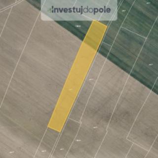 Prodej zemědělské půdy 5 244 m² Sudovo Hlavno