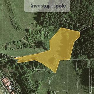 Prodej louky 9 632 m² Stvolová Skřib