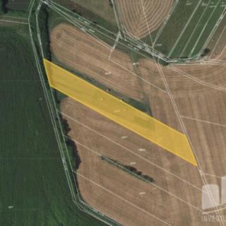 Prodej zemědělské půdy 5 142 m² Dětenice Brodek