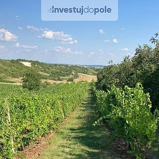 Prodej zemědělské půdy 1328 m² Starovičky