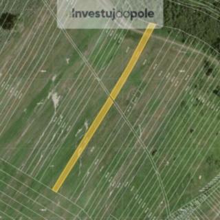 Prodej zemědělské půdy 1 713 m² Mikulčice