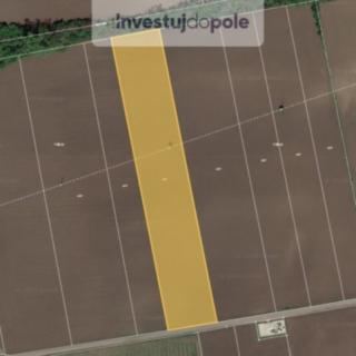 Prodej zemědělské půdy 12 397 m² Horní Věstonice