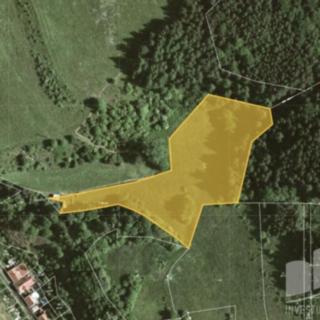 Prodej louky 9 632 m² Stvolová Skřib