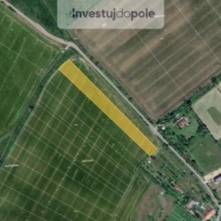 Prodej zemědělské půdy 2045 m² Věžky