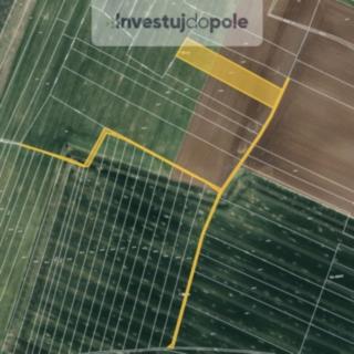 Prodej zemědělské půdy 1530 m² Klešice