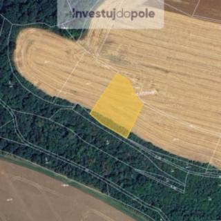 Prodej zemědělské půdy 1 435 m² Štětí Chcebuz