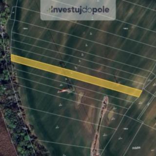 Prodej louky 3589 m² Čelákovice