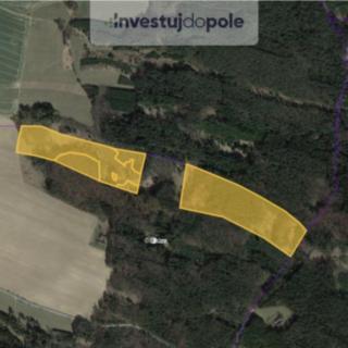 Prodej lesa 93 967 m² Světce