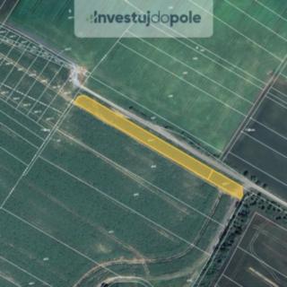 Prodej zemědělské půdy 1 999 m² Ořechov