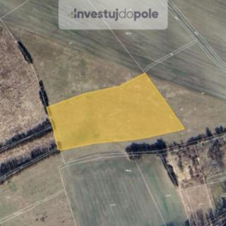 Prodej zemědělské půdy 13 227 m² Křešice Zahořany