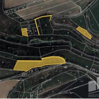 Prodej zemědělské půdy 11 051 m² Bojanovice Malá Lečice
