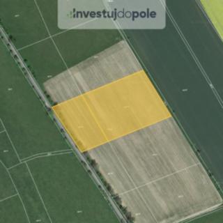 Prodej zemědělské půdy 11 873 m² Police nad Metují Velká Ledhuje