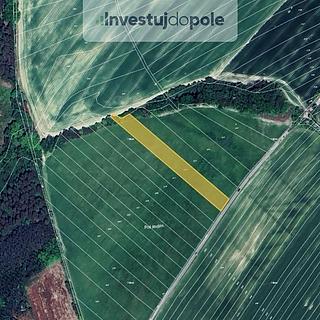 Prodej zemědělské půdy 3 835 m² Velký Újezd