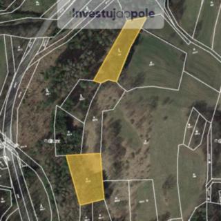Prodej lesa 3539 m² Proseč