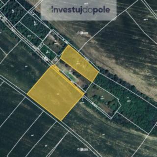 Prodej zemědělské půdy 1 979 m² Štětí Počeplice