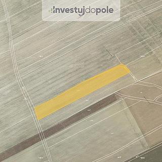 Prodej zemědělské půdy 4 549 m² Hřebečníky Novosedly