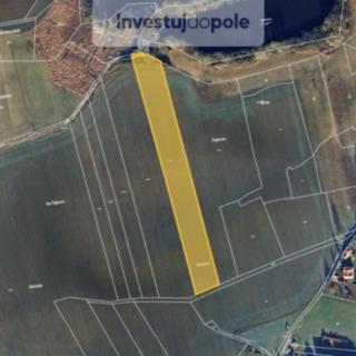 Prodej zemědělské půdy 1 325 m² Předotice Křešice
