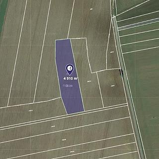 Prodej zemědělské půdy 2 455 m² Břežany