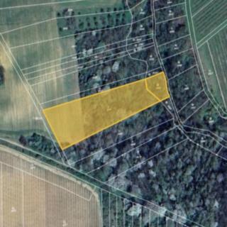 Prodej louky 12 098 m² Újezdec