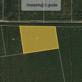 Prodej zemědělské půdy 3611 m² Kněževes