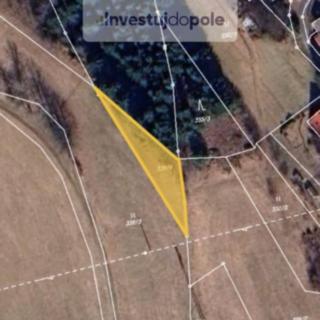 Prodej zemědělské půdy 447 m² Lučany nad Nisou