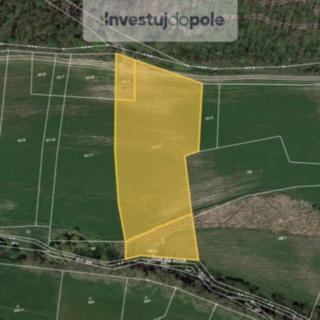 Prodej zemědělské půdy 7 658 m² Městec Králové Vinice