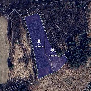 Prodej lesa 15577 m&sup2; Mikulovice