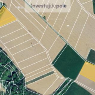 Prodej zemědělské půdy 1 986 m² Závišice