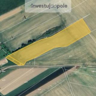 Prodej zemědělské půdy 5 525 m² Osiky