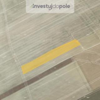 Prodej zemědělské půdy 4549 m² Hřebečníky