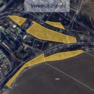 Prodej zahrady 4 113 m² Planá Kříženec