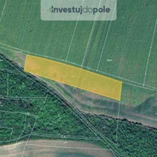 Prodej zemědělské půdy 5 755 m² Chožov Třtěno