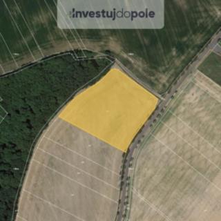Prodej zemědělské půdy 1466 m² Všechovice
