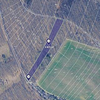 Prodej lesa 20 363 m² Silůvky