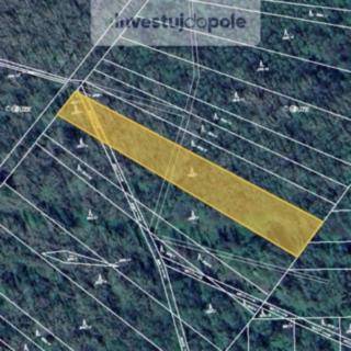 Prodej lesa 2 511 m² Kravaře Kouty