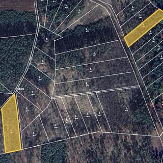 Prodej lesa 393 m² Opolany