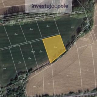 Prodej podílu louky 1041 m² Dolní Břežany