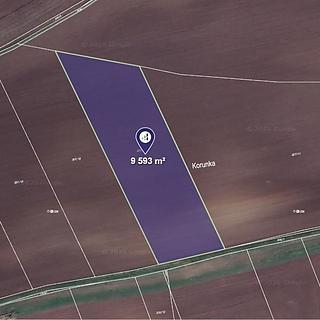 Prodej zemědělské půdy 9 593 m² Třebovle Miškovice