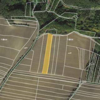 Prodej zemědělské půdy 5 018 m² Mutějovice