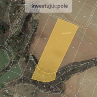 Prodej zemědělské půdy 13 712 m² Kněžice