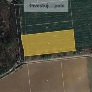 Prodej zemědělské půdy 2 550 m² Chýnice