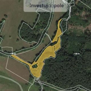 Prodej louky 14 133 m² Přimda Málkov