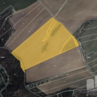 Prodej zemědělské půdy 35 683 m² Bojanovice Malá Lečice