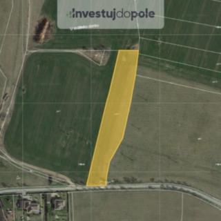 Prodej zemědělské půdy 987 m² Olbramovice