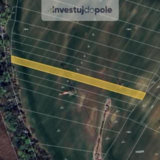Prodej louky 3589 m² Čelákovice